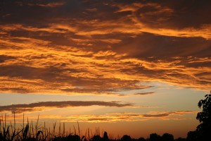 Stratocumulus at sunset. Semboues, SW France
