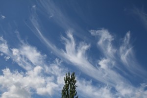 Cirrus. Spain.