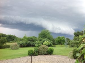 IMG_0576